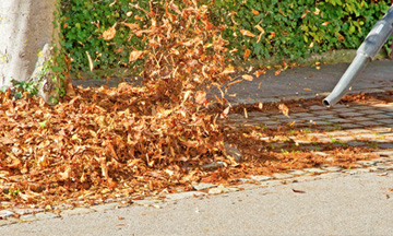 Landscape Debris